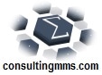 MMS Consulting MX